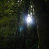 09 b Schluchensteig Etappe 4 - 6